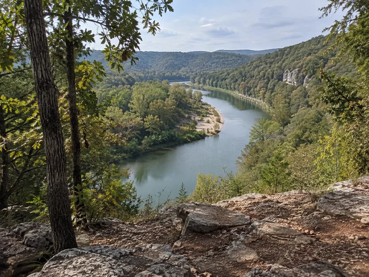 Wooded overlook inspired by the Buffalo National River