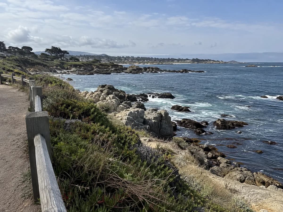 Coastal path scene inspired by Monterey Bay