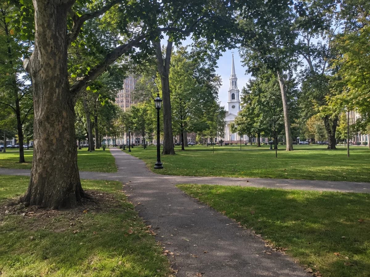 Park path scene inspired by New Haven Green