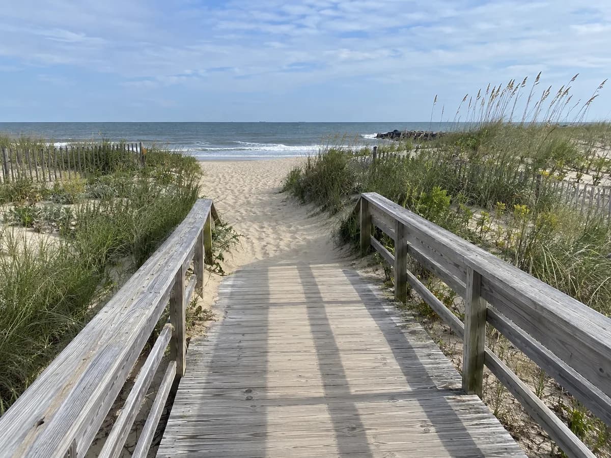 Dune boardwalk scene inspired by Cape Henlopen near Lewes