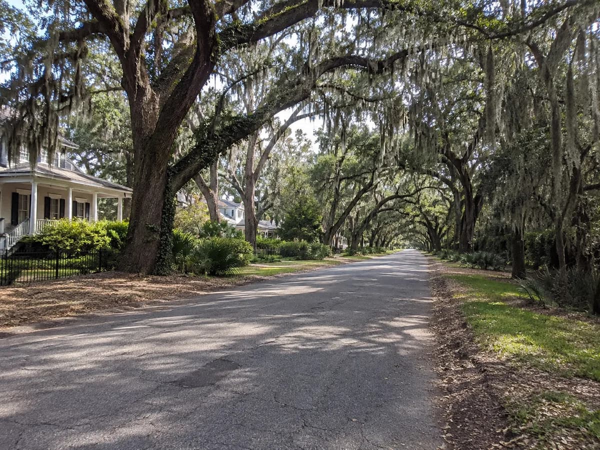 Oak-lined road inspired by coastal Georgia