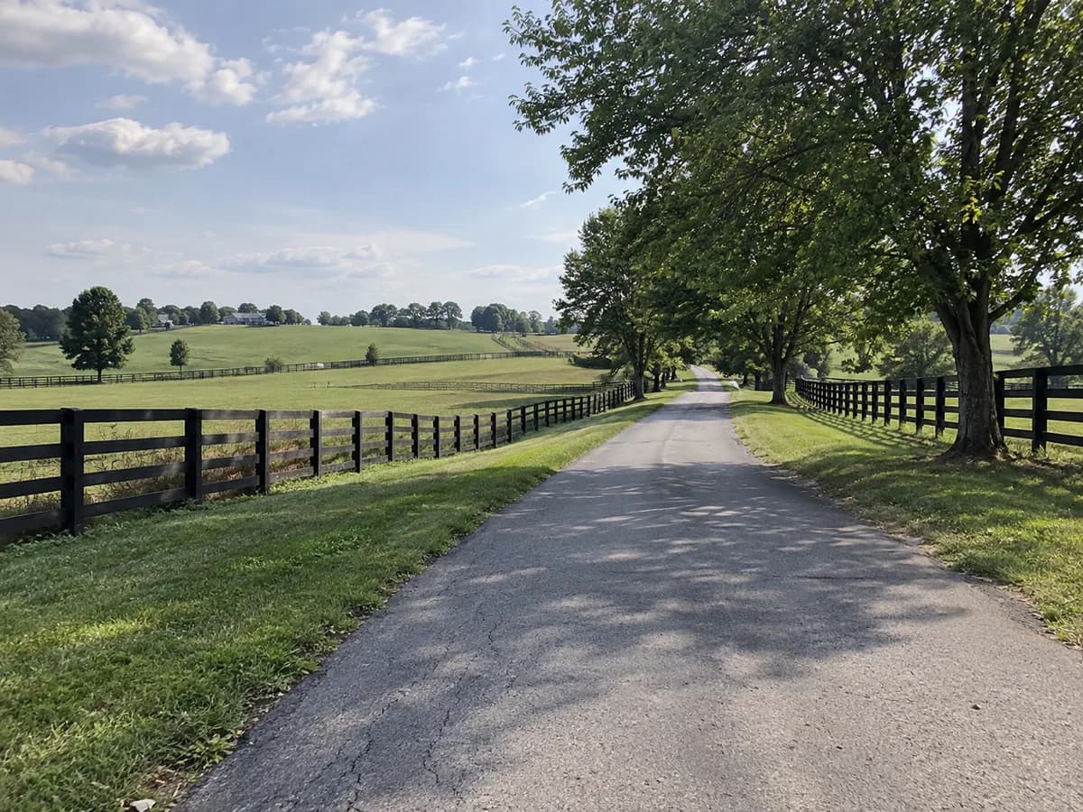 Fenced country lane inspired by the Lexington bluegrass region