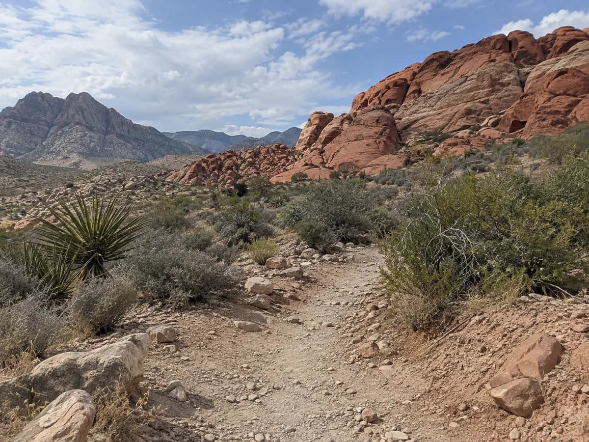 Desert trail scene inspired by Red Rock Canyon near Las Vegas