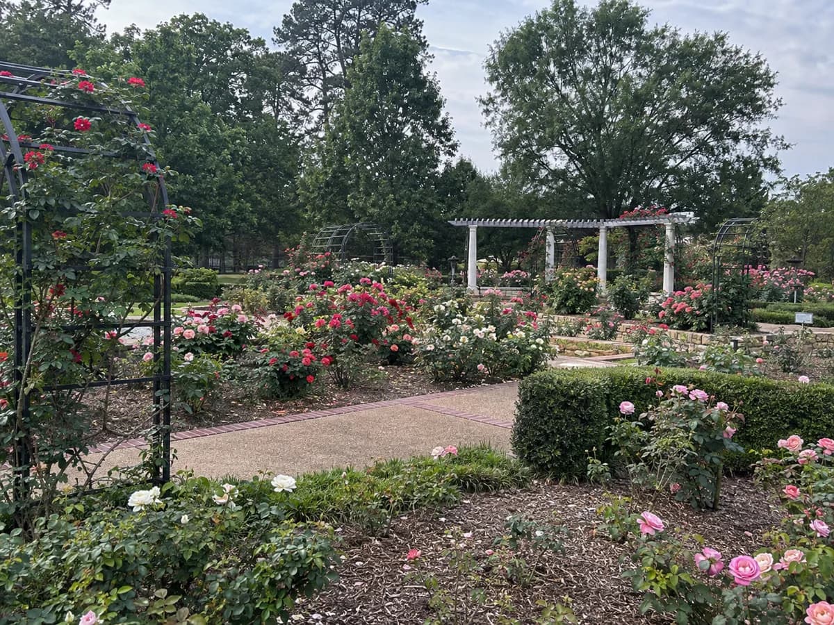 Rose garden paths inspired by Tyler