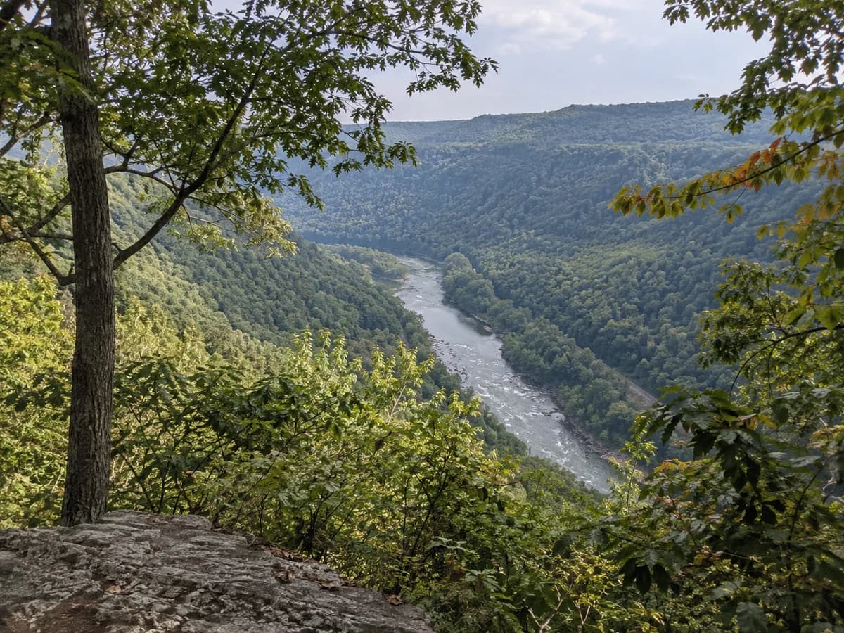 Forested gorge overlook scene inspired by the New River Gorge
